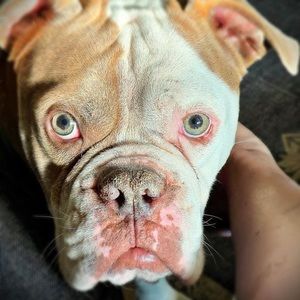 Meet your Posher, Kari